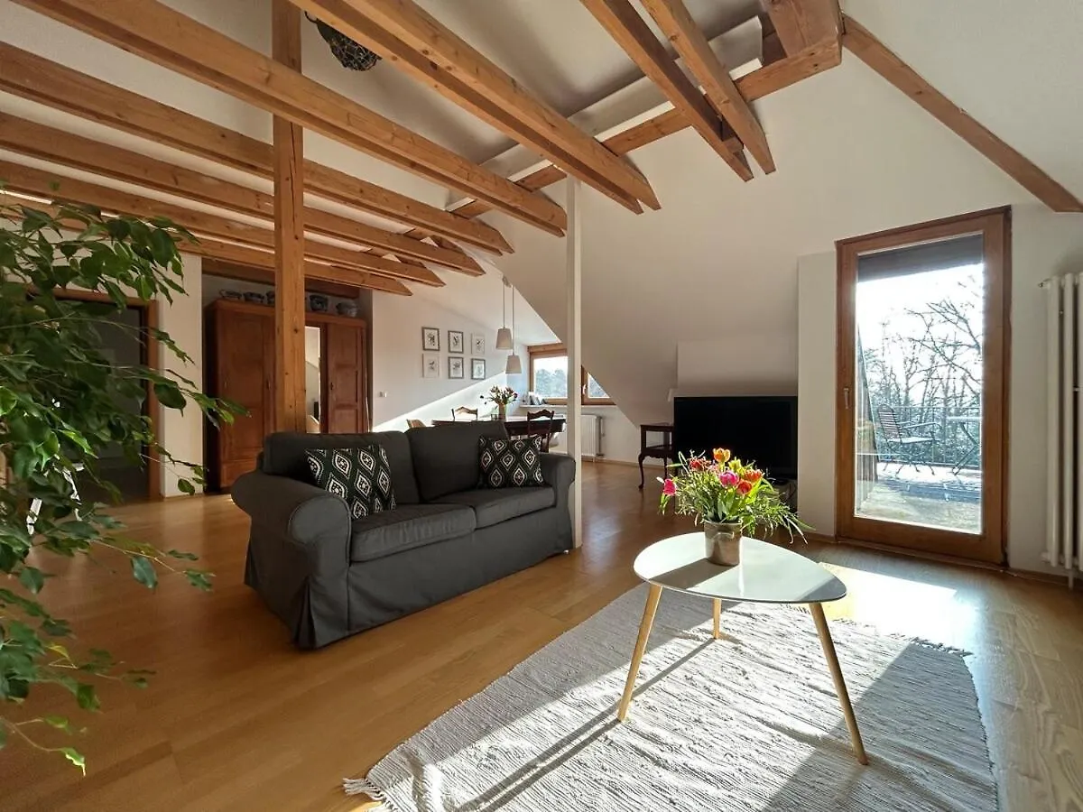 Grosse Wohnung Mit Dachterrasse In Starnberg Apartment